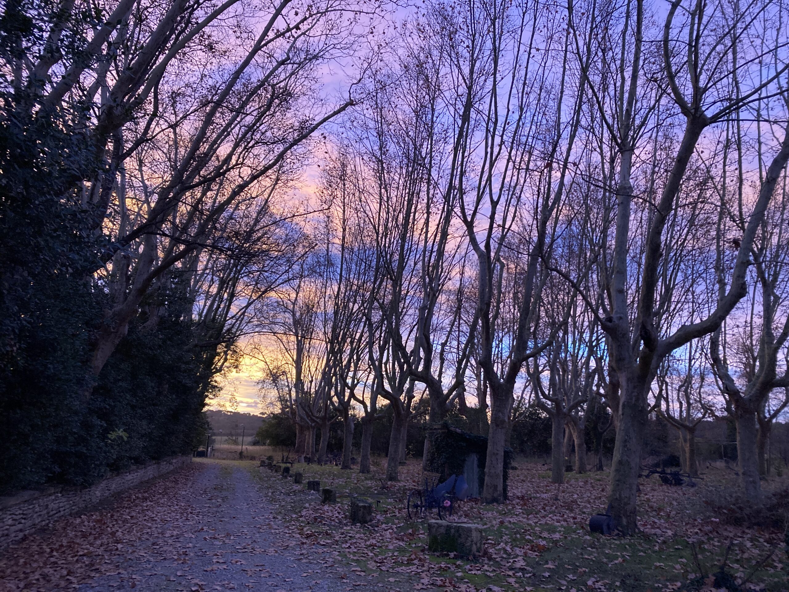 2024 12 07 075238 5727559 Scaled