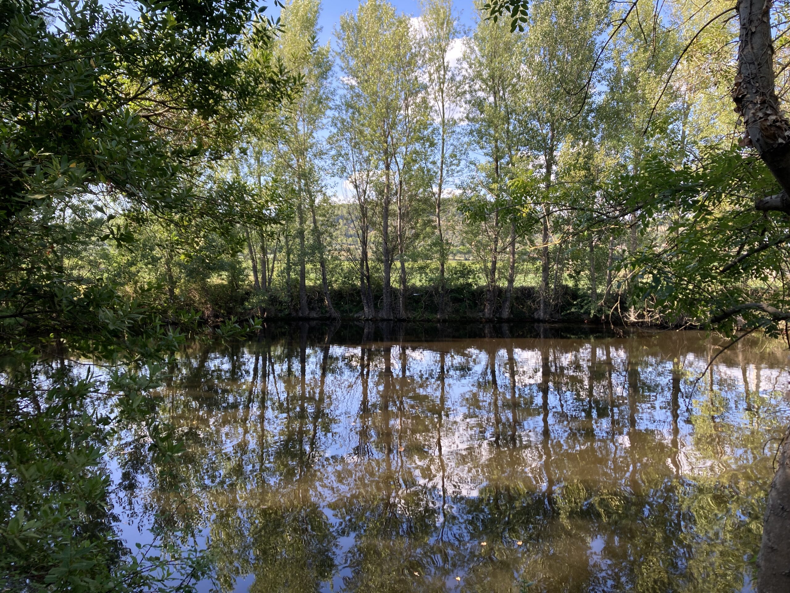 2025 08 01 175321 5945337 Scaled